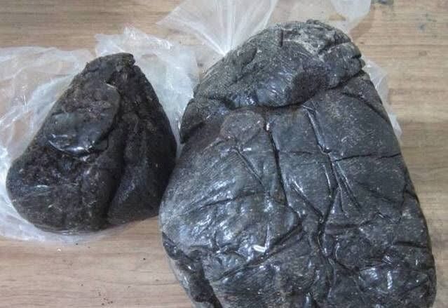 63 کیلو و ۵۰۰ گرم تریاک در بردسکن کشف شد