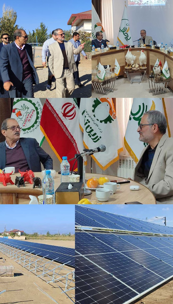 زنجیره برق صالح کاشمر در شرایط فعلی بسیار مفید و سودمند است