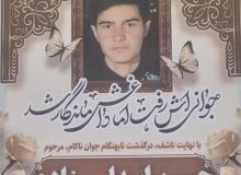 شوک رفتن نوجوان خضربیگی ،همه را در بهت فرو  برد