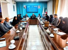 فرماندار کاشمر تاکید بر فرهنگسازی خانواده های تک فرزندی به فرزند آوری برای تداوم جوانی جمعیت