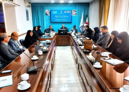 فرماندار کاشمر تاکید بر فرهنگسازی خانواده های تک فرزندی به فرزند آوری برای تداوم جوانی جمعیت