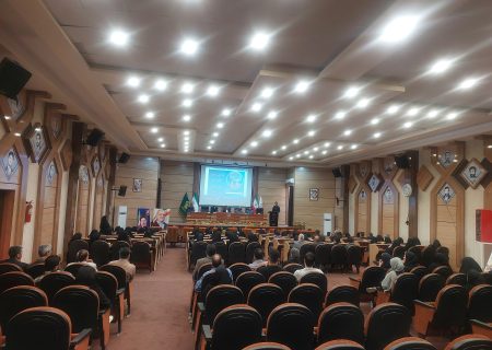 گرامیداشت روز مشاور و روان‌شناس در فرمانداری کاشمر؛ تأکید بر ضرورت توجه به سلامت روان در بدنه جامعه