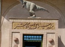 موزه محیط‌زیست کاشمر در انزوا؛ گنجینه‌ای که خاک می‌خورد و ظرفیت‌هایی که معطل مانده‌اند
