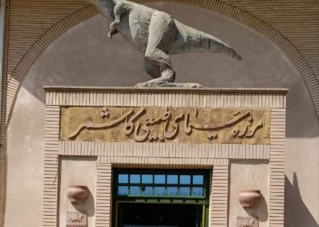 موزه محیط‌زیست کاشمر در انزوا؛ گنجینه‌ای که خاک می‌خورد و ظرفیت‌هایی که معطل مانده‌اند
